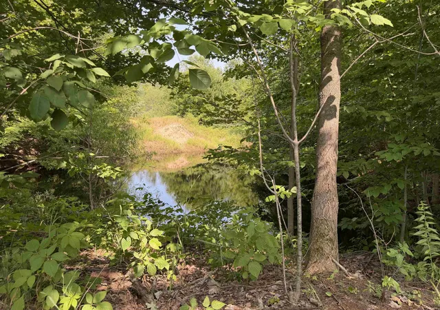 4th image of 0000 Landis Rd, Thompsonville, MI 49683 | MLS# 78080065667