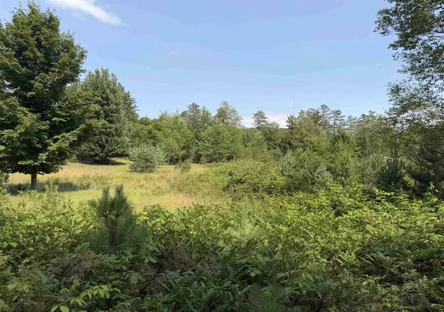 5th image of 0000 Landis Rd, Thompsonville, MI 49683 | MLS# 78080065667