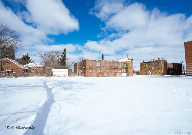 image of 13523 Greiner St, Detroit, MI 48205 | MLS# 20261012214