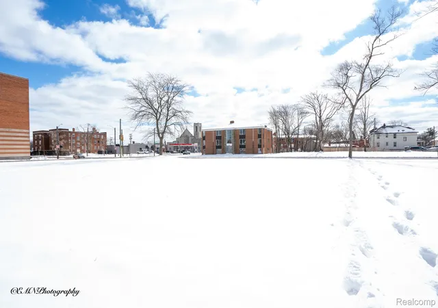 image of 13523 Greiner St, Detroit, MI 48205 | MLS# 20261012214