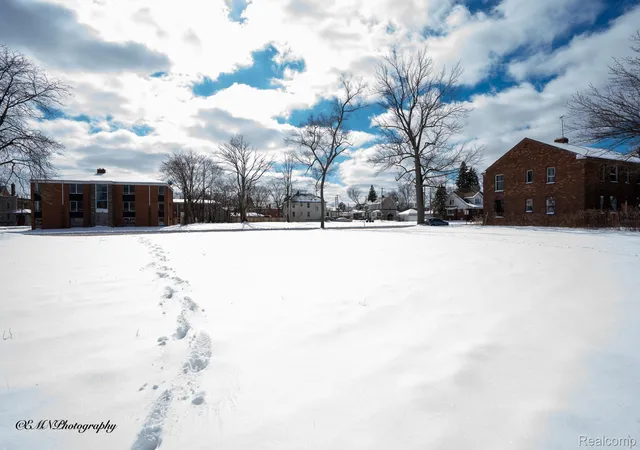 image of 13523 Greiner St, Detroit, MI 48205 | MLS# 20261012214