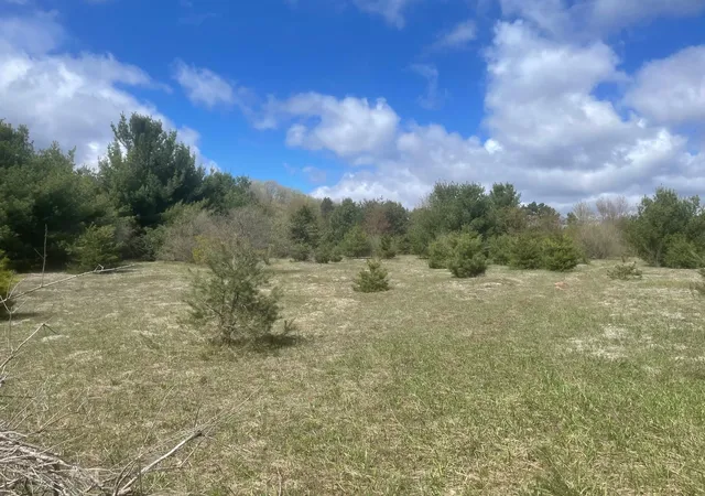 2nd image of Honor Hwy, Interlochen, MI 49643 | MLS# 78080065721