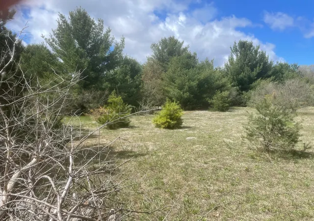 3rd image of Honor Hwy, Interlochen, MI 49643 | MLS# 78080065721