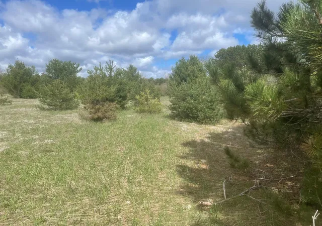 4th image of Honor Hwy, Interlochen, MI 49643 | MLS# 78080065721