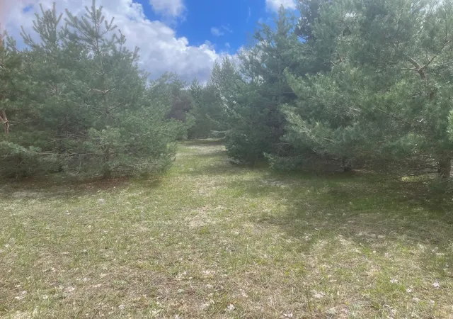 5th image of Honor Hwy, Interlochen, MI 49643 | MLS# 78080065721