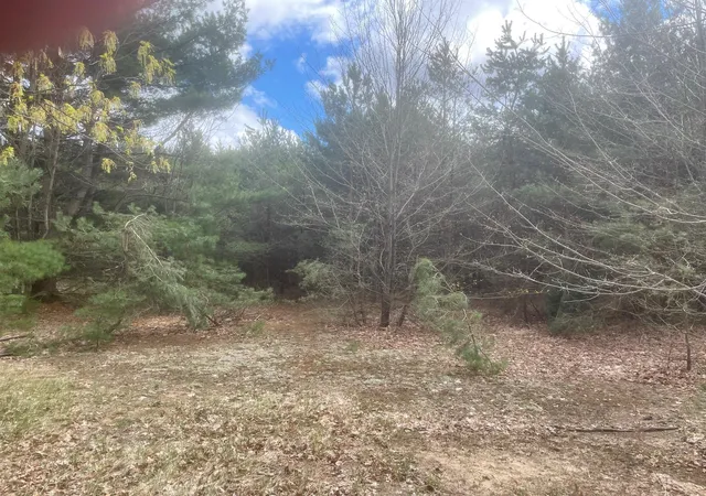 7th image of Honor Hwy, Interlochen, MI 49643 | MLS# 78080065721