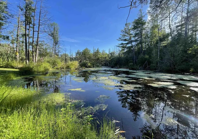 1st image of 210 Spring St, Kingsley, MI 49649 | MLS# 78080065733