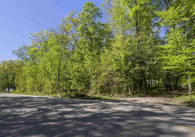 4th image of Lots 102-104 Poplar Ave, Honor, MI 49640 | MLS# 78080065737