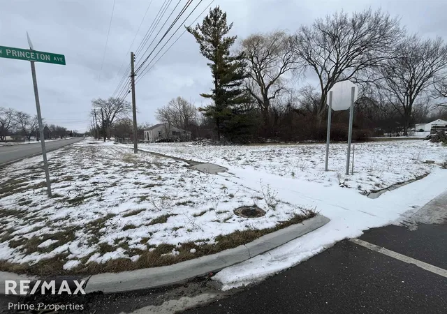 Photo 2 of Land for sale at 00 Detroit St, Flint, MI 48505 | MLS# 5050200713 | Listing updated on 2026-03-04