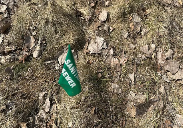 Photo 2 of Land for sale at 0 Jordan Lake Ave, Lake Odessa, MI 48849 | MLS# 20261013946 | Listing updated on 2026-07-06