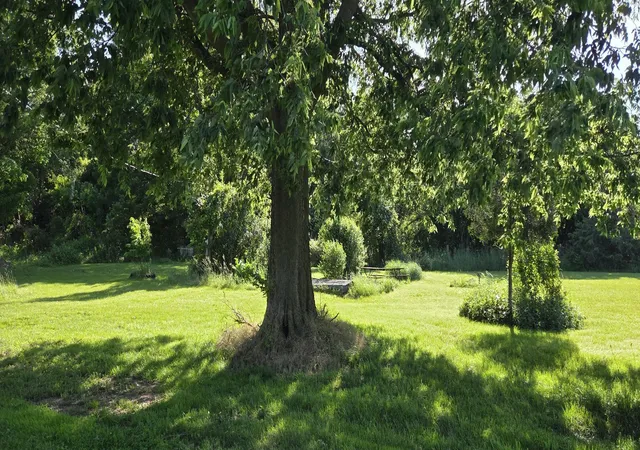 Photo 3 of Single family home for sale at 4812 Spring Crk Rd, Three Oaks, MI 49128 | MLS# 69026008189 | Listing updated on 2026-07-20