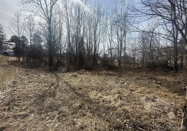Photo 3 of Land for sale at 0 Church St, Portland, MI 48875 | MLS# 20261014264 | Listing updated on 2026-07-06