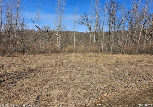 Photo 4 of Land for sale at 0 Jamestown Dr, Metamora, MI 48455 | MLS# 20261014358 | Listing updated on 2026-08-04