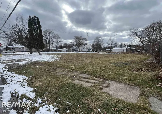 Photo 2 of Land for sale at 1501 Arlington Ave, Flint, MI 48506 | MLS# 5050200977 | Listing updated on 2026-03-06