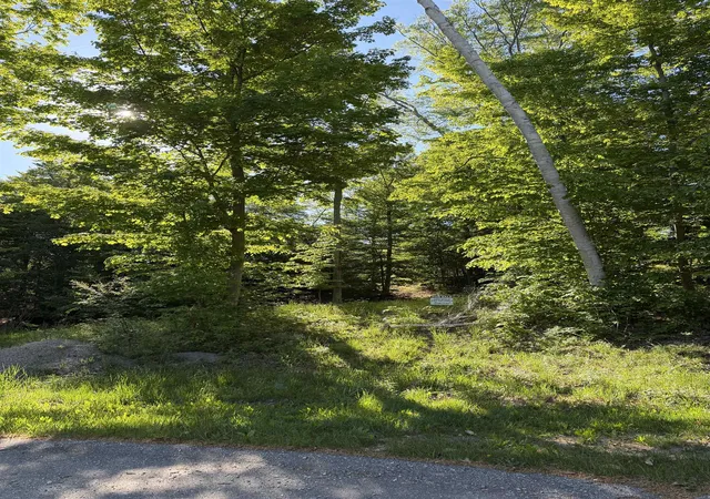 23rd image of Unit 7 Old Trl, Frankfort, MI 49635 | MLS# 78080065911