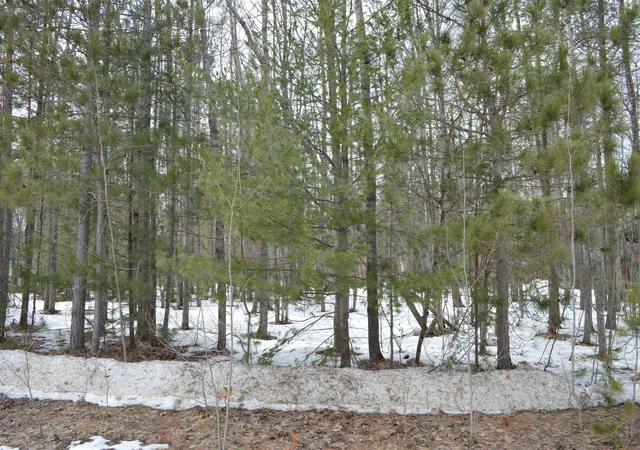 11th image of 1949 Fairways Dr, Kalkaska, MI 49646 | MLS# 78080065970