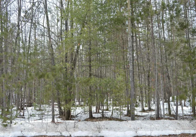 2nd image of 1949 Fairways Dr, Kalkaska, MI 49646 | MLS# 78080065970