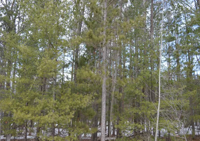 18th image of 1983 Bunker Dr, Kalkaska, MI 49646 | MLS# 78080065971