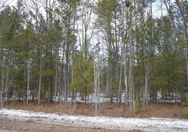 4th image of 1983 Bunker Dr, Kalkaska, MI 49646 | MLS# 78080065971