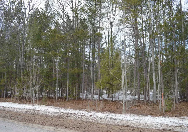 5th image of 1983 Bunker Dr, Kalkaska, MI 49646 | MLS# 78080065971