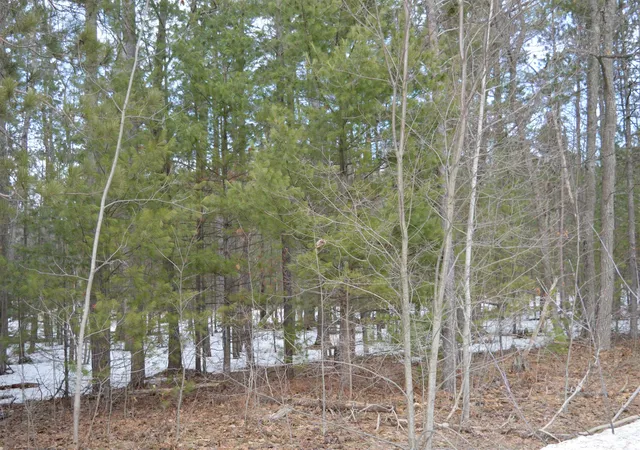 15th image of 1971 Bunker Dr, Kalkaska, MI 49646 | MLS# 78080065972