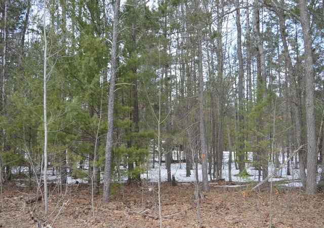 2nd image of 1971 Bunker Dr, Kalkaska, MI 49646 | MLS# 78080065972