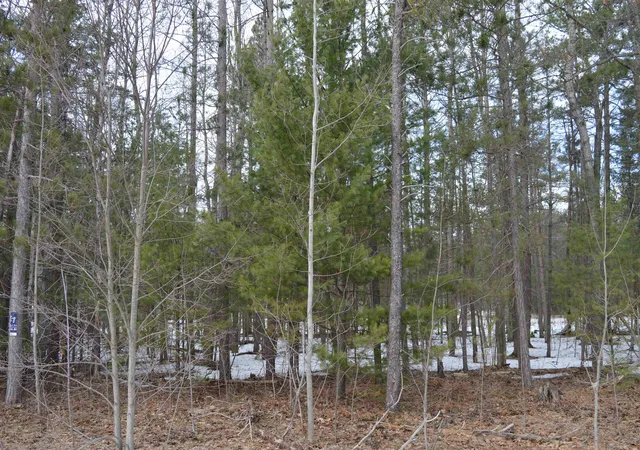 5th image of 1971 Bunker Dr, Kalkaska, MI 49646 | MLS# 78080065972