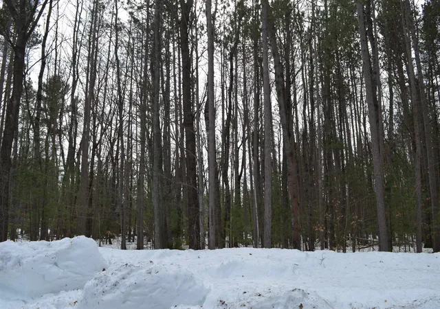 5th image of 773 Golf Side Dr, Kalkaska, MI 49646 | MLS# 78080065973
