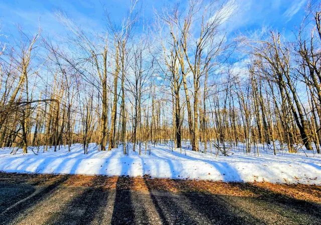 1st image of Lot 45 Terreton Cir, Elmira, MI 49730 | MLS# 78080065993