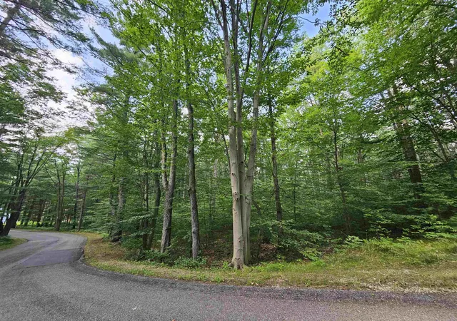 Photo 1 of Land for sale at Lot 45 Woodwind Dr, Cadillac, MI 49601 | MLS# 78080065995 | Listing updated on 2026-09-29