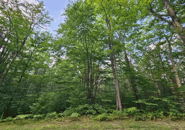 Photo 2 of Land for sale at Lot 45 Woodwind Dr, Cadillac, MI 49601 | MLS# 78080065995 | Listing updated on 2026-09-29