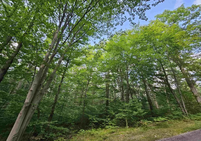 Photo 3 of Land for sale at Lot 45 Woodwind Dr, Cadillac, MI 49601 | MLS# 78080065995 | Listing updated on 2026-09-29