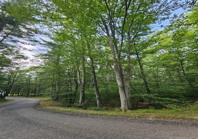 Photo 3 of Land for sale at Lot 45 Woodwind Dr, Cadillac, MI 49601 | MLS# 78080065995 | Listing updated on 2026-09-29