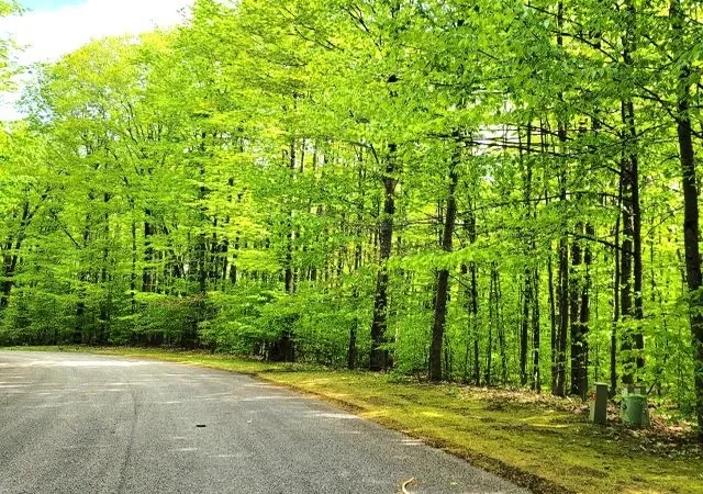 Photo 3 of Land for sale at 129-130 Laurel Valley, Kearney Township Antrim, MI 49615 | MLS# 78080066019 | Listing updated on 2026-08-31