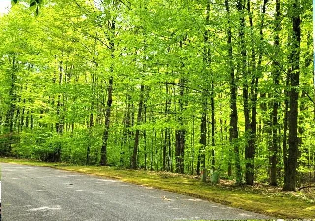 Photo 4 of Land for sale at 129-130 Laurel Valley, Kearney Township Antrim, MI 49615 | MLS# 78080066019 | Listing updated on 2026-08-31
