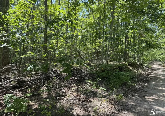 image of 0000 Hayes Tower Rd, Gaylord, MI 49735 | MLS# 57050201405