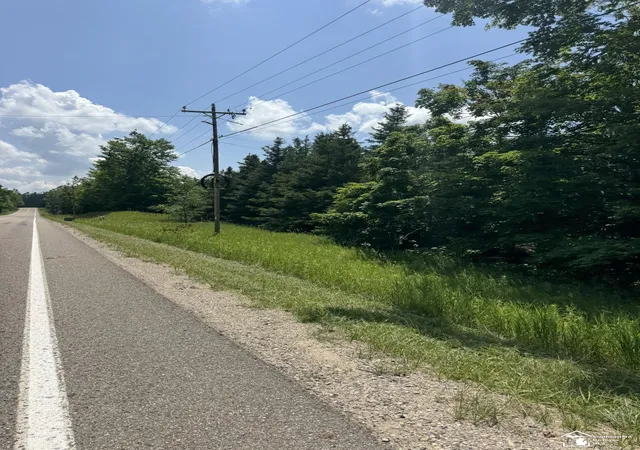image of 0000 Hayes Tower Rd, Gaylord, MI 49735 | MLS# 57050201405