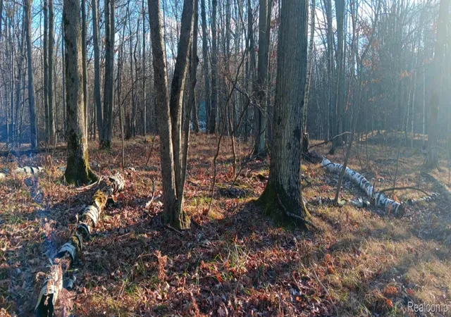 Photo 1 of Land for sale at 1782 Hemlock Ln, Lincoln Township Clare, MI 48622 | MLS# 20261015987 | Listing updated on 2026-07-06