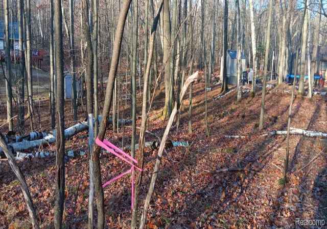 Photo 2 of Land for sale at 1782 Hemlock Ln, Lincoln Township Clare, MI 48622 | MLS# 20261015987 | Listing updated on 2026-07-06