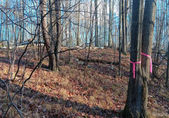 Photo 3 of Land for sale at 1782 Hemlock Ln, Lincoln Township Clare, MI 48622 | MLS# 20261015987 | Listing updated on 2026-07-06