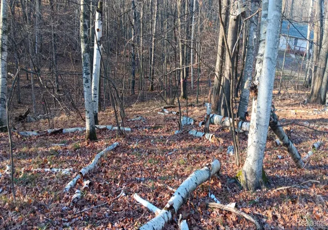 Photo 3 of Land for sale at 1782 Hemlock Ln, Lincoln Township Clare, MI 48622 | MLS# 20261015987 | Listing updated on 2026-07-06