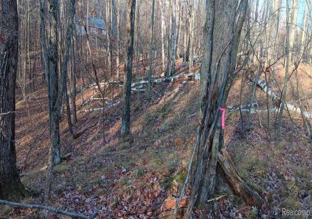 Photo 4 of Land for sale at 1782 Hemlock Ln, Lincoln Township Clare, MI 48622 | MLS# 20261015987 | Listing updated on 2026-07-06
