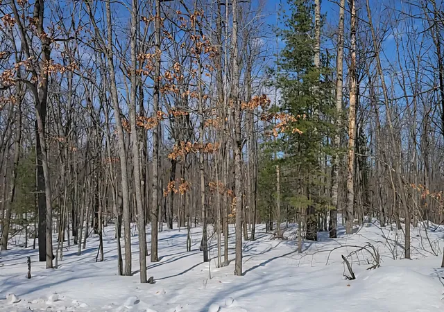 1st image of Lot 297 Nottingham Dr, Gaylord, MI 49735 | MLS# 78080066073