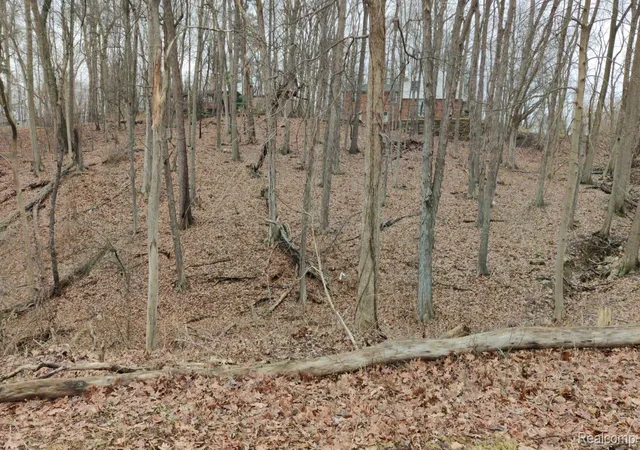 Photo 1 of Land for sale at Lot 149 Breer Ct, Bloomfield Hills, MI 48302 | MLS# 20261016444 | Listing updated on 2026-09-13