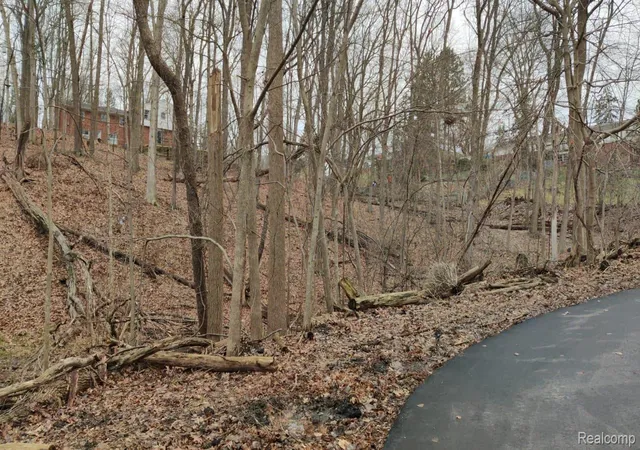 Photo 3 of Land for sale at Lot 149 Breer Ct, Bloomfield Hills, MI 48302 | MLS# 20261016444 | Listing updated on 2026-09-13