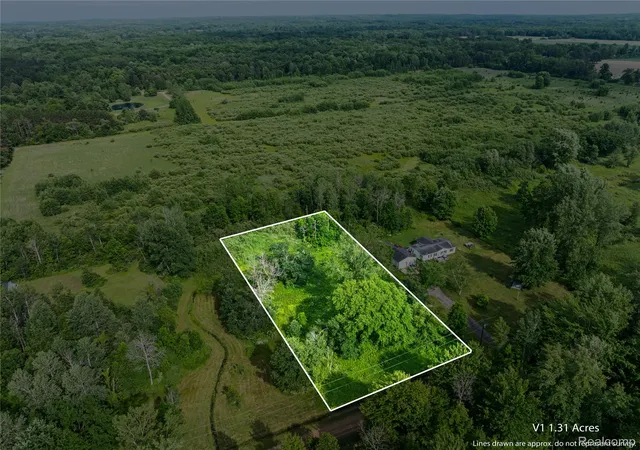 Homes for sale in Vassar, MI | #0078 V/l Natures Nest Rd, Vassar, MI 48768 | MLS# 20261016727