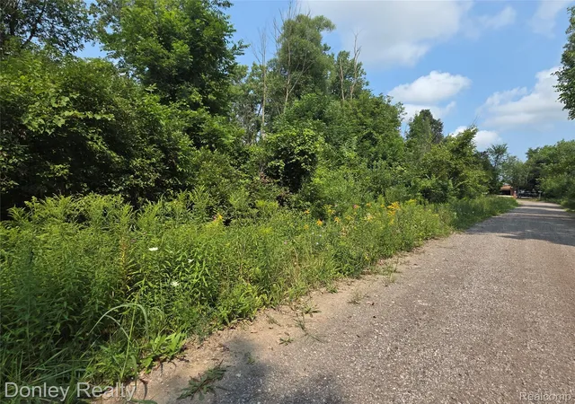 Photo 2 of Land for sale at 20 Vacant Lots Concord Cranbrook & Tulane, Marlette City Sanilac, MI 48453 | MLS# 20261016749 | Listing updated on 2026-08-14