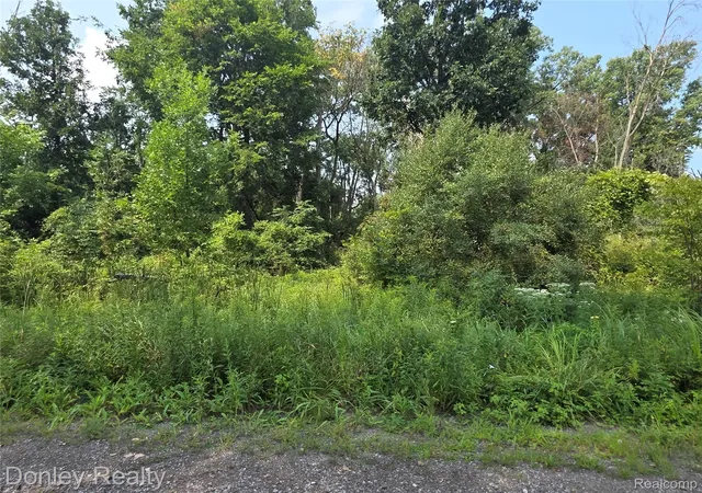 Photo 3 of Land for sale at 20 Vacant Lots Concord Cranbrook & Tulane, Marlette City Sanilac, MI 48453 | MLS# 20261016749 | Listing updated on 2026-08-14