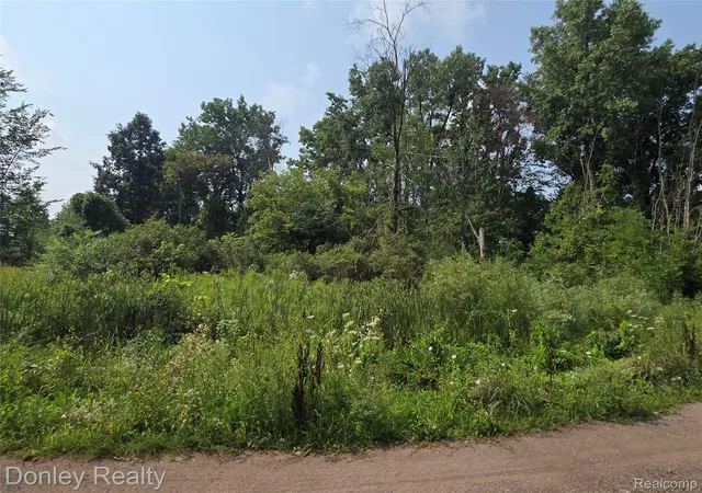 Photo 4 of Land for sale at 20 Vacant Lots Concord Cranbrook & Tulane, Marlette City Sanilac, MI 48453 | MLS# 20261016749 | Listing updated on 2026-08-14