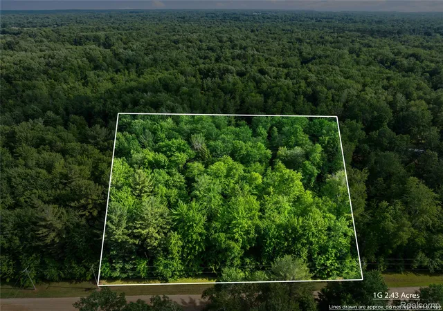 Homes for sale in Vassar, MI | #0015 V/l Birch Ln, Vassar, MI 48768 | MLS# 20261016816